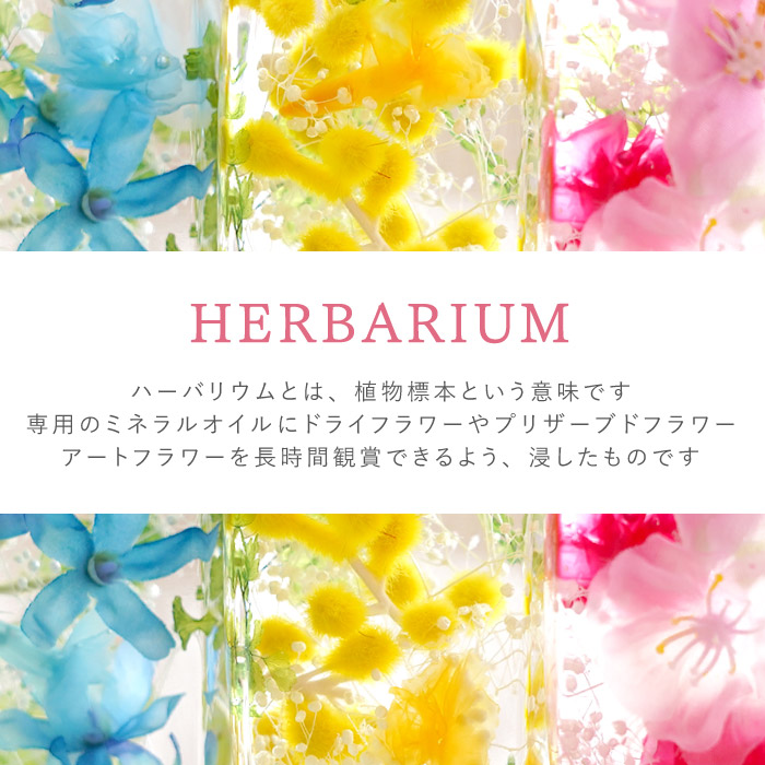  herbarium flower present thanks bottle mimo The Sakura blue star gratitude gift woman birthday . industry . job festival .30 fee 40 fee 50 fee 60 fee 
