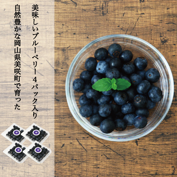  blueberry raw . rabbit I series raw blueberry 4 pack approximately 400g 1 pack approximately 100g domestic production Okayama prefecture production fruit fruit gift cool flight 