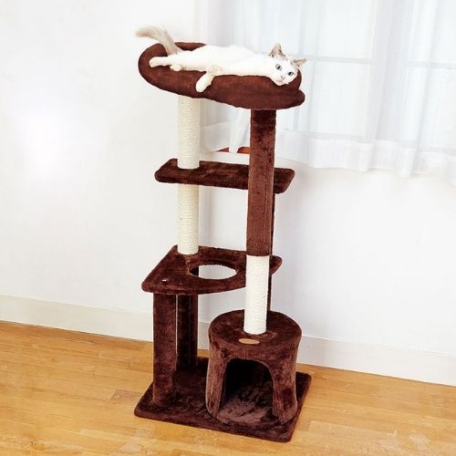  cat tower .. put type . whirligig . cat paul (pole) easy bed . house 