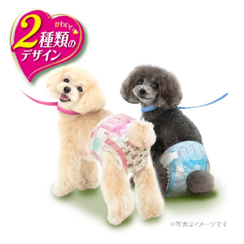 * manner wear for girl super small ~ for small dog SS size 38 sheets dog diapers Uni charm female SS