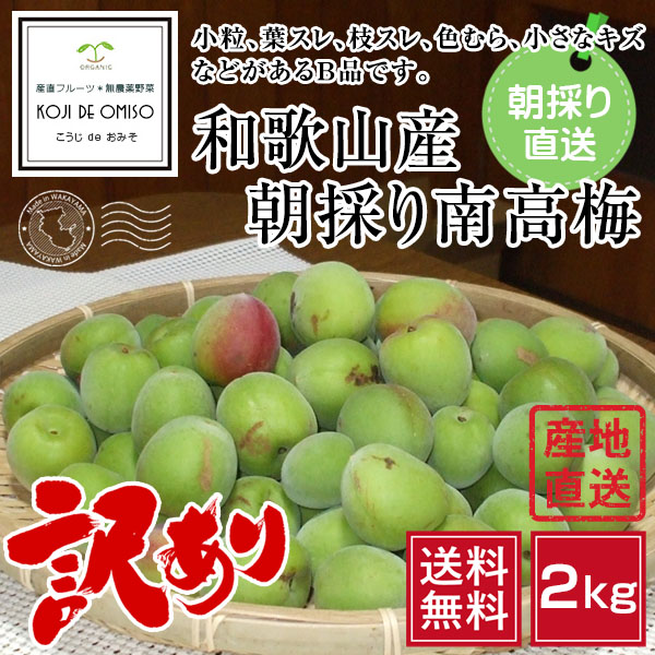  Wakayama production morning ..! with translation south height plum ( blue plum )2kg # free shipping * shipping next day receipt limitation # date designation un- possible *6 month first 10 days .. sequential shipping #