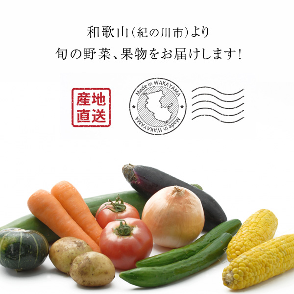  direct delivery from producing area! incidental less pesticide . vegetable set 10 kind and more [ free shipping ]* contents. designation un- possible # date designation un- possible * shipping next day receipt limitation * next day delivery time zone . please note #