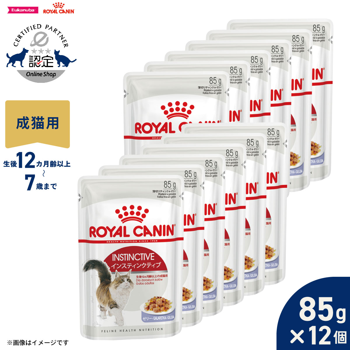 ロイヤルカナン ウェット インスティンクティブ ゼリー 85g×12個の商品画像