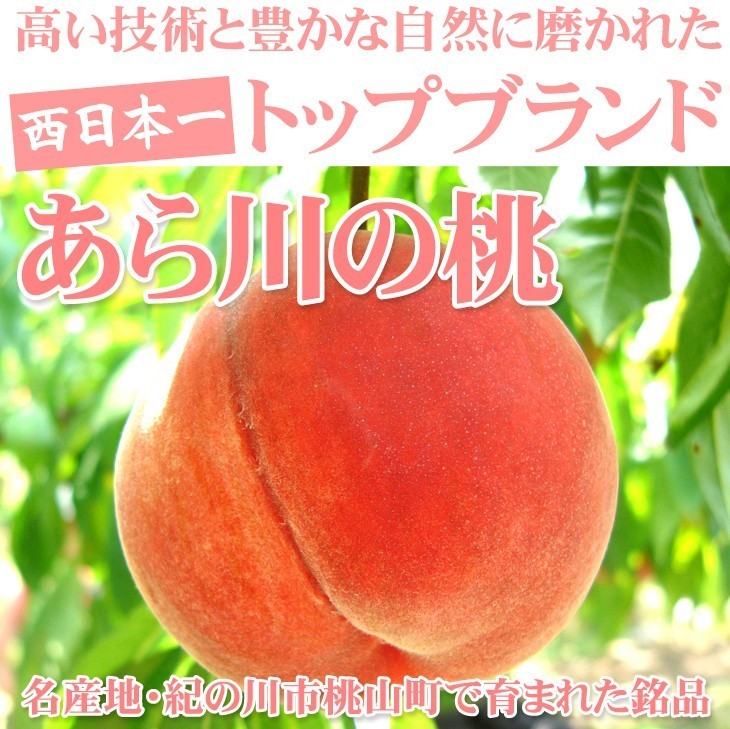mo.3.5kg oh river. peach Wakayama production . home use oh .. free shipping food 