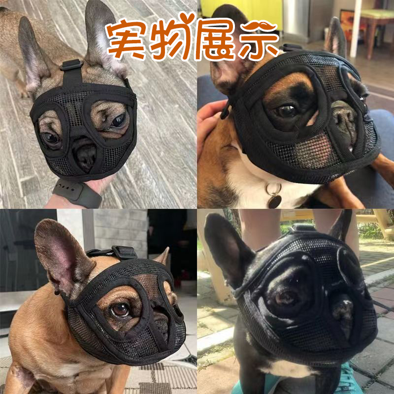  pet accessories dog use . dog short head kind short . nose mazru muzzle; ferrule ventilation .. meal . cease size adjustment possibility biting gse prevention uselessness .. biting attaching scratch .. prevention 