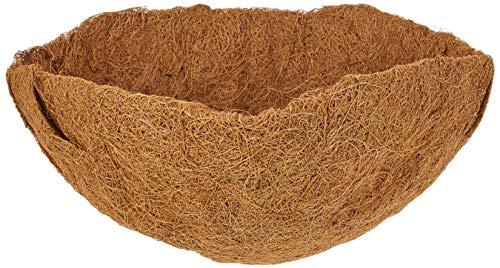 taka шоу cocos nucifera коврик ( заголовок ) висячий корзина 25cm для 