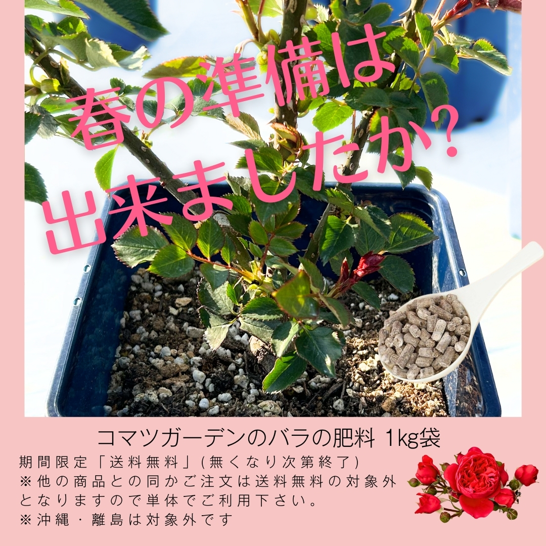  rose. fertilizer Komatsu garden rose. fertilizer 1kg rose. fertilizer origin ... both sides possible to use 