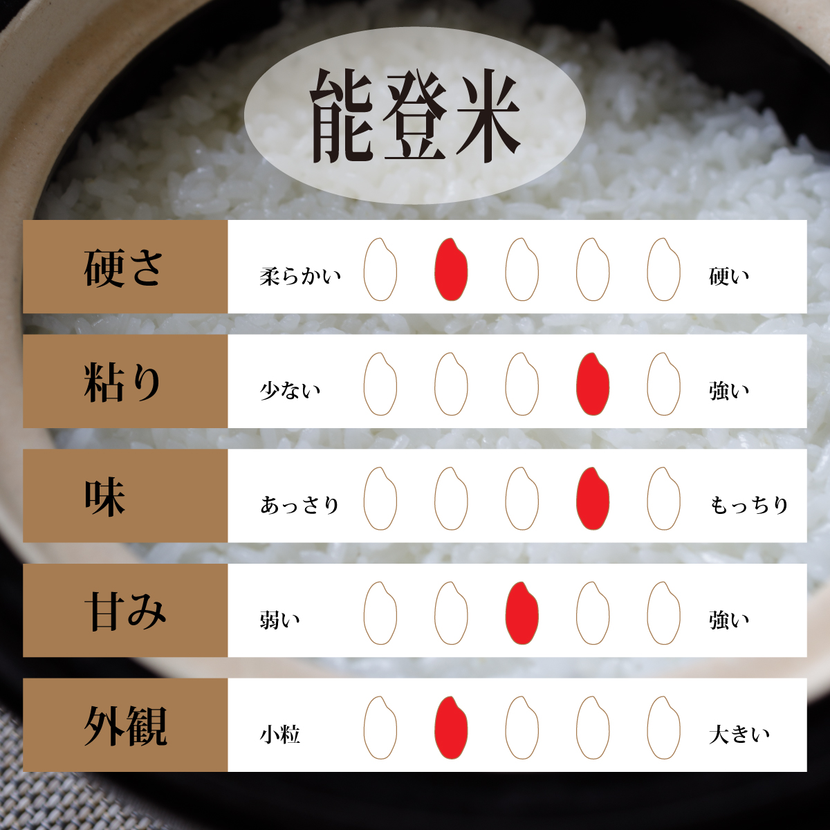  rice 10kg Koshihikari Ishikawa prefecture production 5kg×2 sack . peace 5 year new rice . rice talent . rice .....10 kilo 