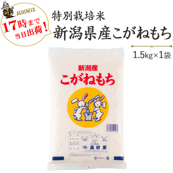 高田屋 新潟産こがねもち 特別栽培米 令和4年産 1.5kg×1袋 もち米の商品画像