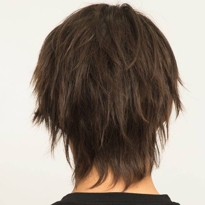 本物新品保証 メンズアクセサリー 送料無料 沖縄 離島除く 宅配便出荷メンズ Wiggy Rich メンズ ベーシックショート ダークブラウン ウィッグ かつら パーティー イベント コスプレ 仮装 変装 小道具 クリアストーン Www Threeriversofs Com