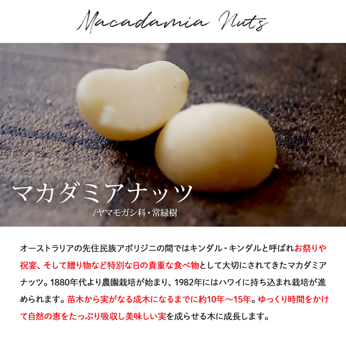  unglazed pottery . macadamia nuts 40g salt free less oil no addition roast to