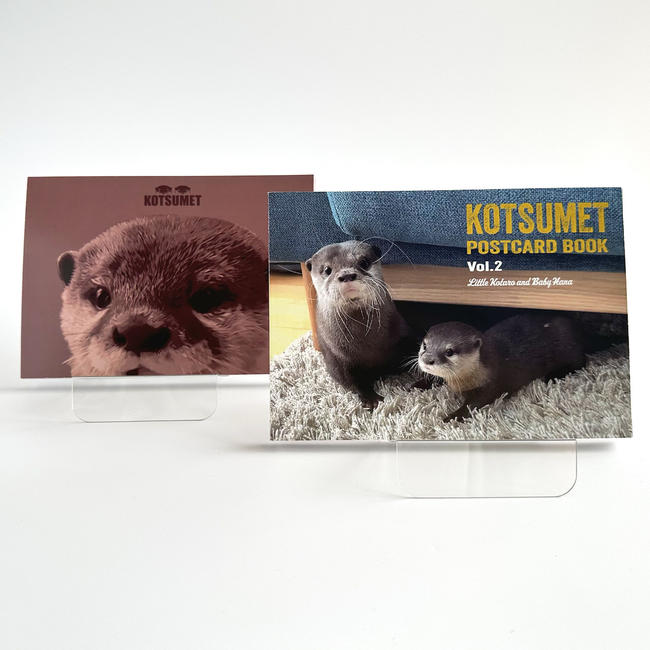 ka wow sokota low is Nami ni photo book Vol.2 postcard photoalbum animal animal .... goods 