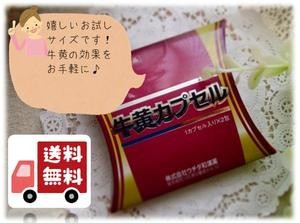 ウチダ和漢薬 ウチダ和漢薬 牛黄カプセル 2カプセル×24個 滋養強壮剤の商品画像