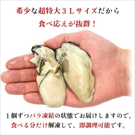 .... устрица Hiroshima несессер редкий очень большой 3L размер ограниченная продажа jumbo Hiroshima ..2kg(1kg/ примерно 25 шарик ×2 пакет ) подарок подарок день рождения День матери добродетель для рефрижератор FF