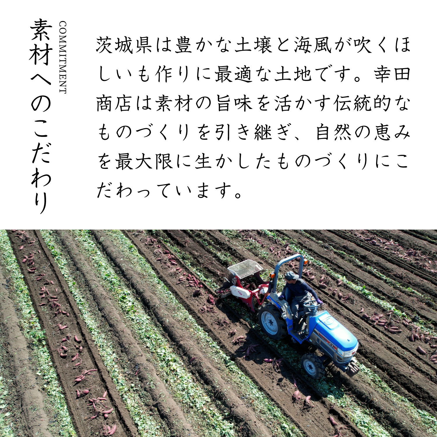 . rice field shop Ibaraki prefecture production free shipping [... freezing roasting corm 500g×6 sack ] [ cool flight ][ other commodity including in a package shipping un- possible ][ limited amount ]