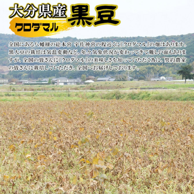  Ooita prefecture production black soybean Kuroda maru large grain 30kg /. peace 5 year production 