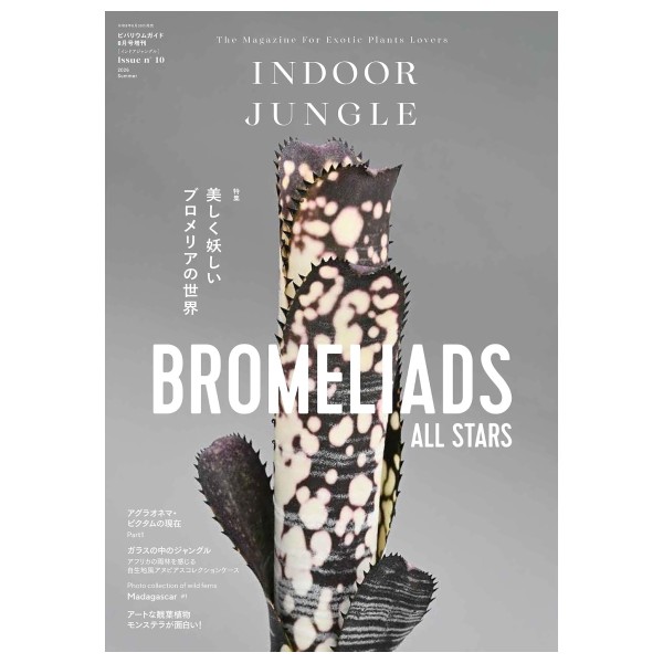 ビバリウムガイド増刊 ＩＮＤＯＯＲ　ＪＵＮＧＬＥ　１０ ２０２６年８月号 （エムピージェー）の商品画像