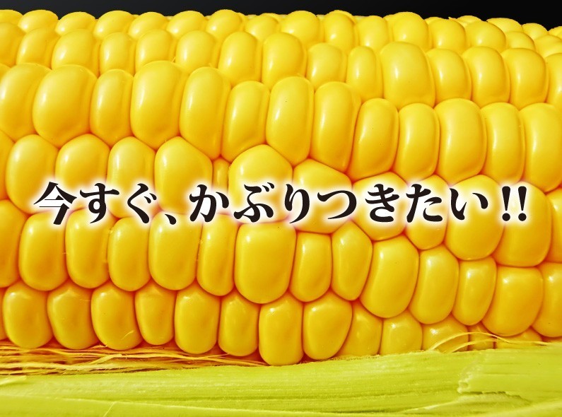  early stage reservation corn raw corn free shipping Miyazaki production Gold Rush M size Miyazaki prefecture JA west capital .. approximately 4.5kg(18ps.@) direct delivery from producing area fresh Y warehouse 