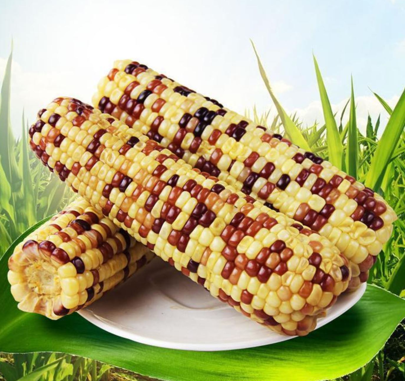  mochi corn corn 10 pcs set rice‐flour dumplings rice yellow sphere rice . sphere rice black sphere rice free selection maize 
