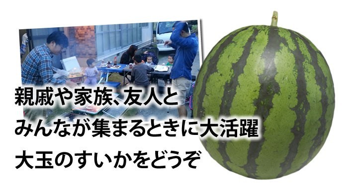 su.. бесплатная доставка большой шар арбуз есть перевод Kumamoto префектура производство ваш заказ 1 шар примерно 7kg и больше [6 месяц последняя декада примерно .. последовательный отгрузка начало предположительно ]