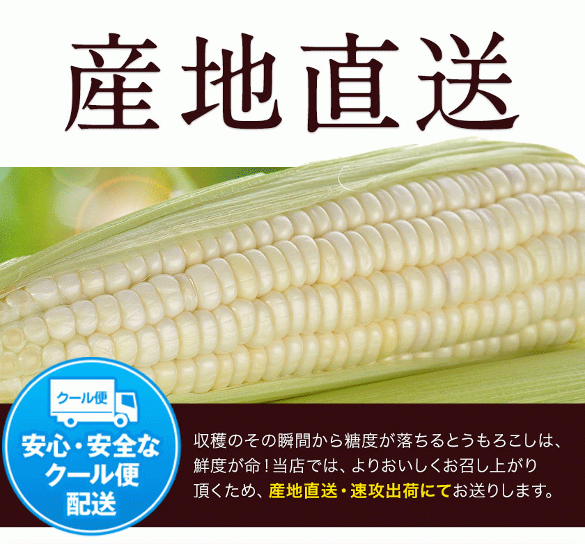  white corn 2.4kg 400g rom and rear (before and after) 6ps.@2.4kg and more white corn .. corn white .. thing sugar times vegetable stone rice field agriculture .5 end of the month about ~6 month last third about .. shipping expectation 