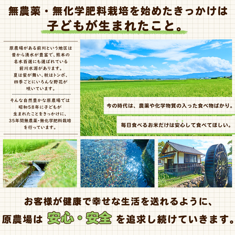  complete less pesticide less chemistry fertilizer cultivation. brown rice flour . agriculture place. brown rice flour 800g(400g×2 sack ) have machine JAS less pesticide * chemistry fertilizer un- use Kumamoto prefecture production domestic production brown rice flour rice flour mail service Hino hikari brown rice 