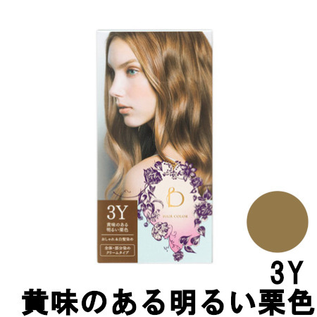 SHISEIDO ベネフィーク ヘアカラー 3Y BENEFIQUE ヘアカラーリングの商品画像
