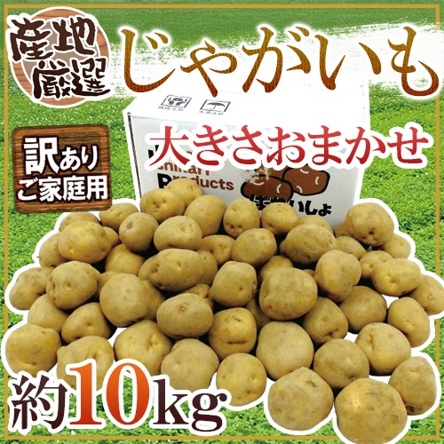 ~ potato ~ with translation approximately 10kg size incidental production ground carefuly selected free shipping 