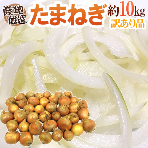~ new onion ~ with translation approximately 10kg Kyushu * Shikoku *..* Hokkaido production ground carefuly selected [ reservation 3 month last third on and after ] free shipping 