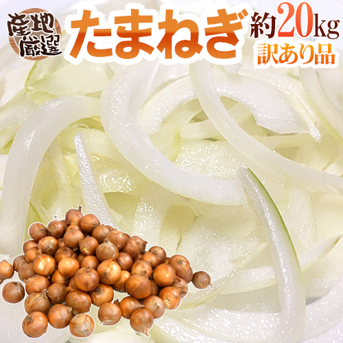 ~ new onion ~ with translation approximately 20kg Kyushu * Shikoku *..* Hokkaido production ground carefuly selected [ reservation 3 month last third on and after ] free shipping 