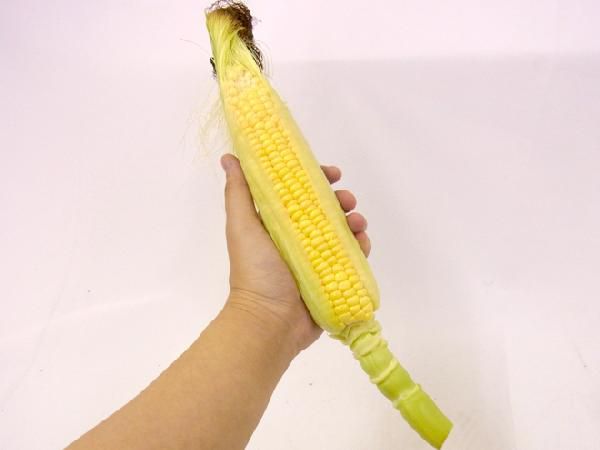 ~ raw . meal .... fruit corn ~ 10~16ps.@ approximately 4.5kg production ground carefuly selected [ reservation 5 month last third on and after ]