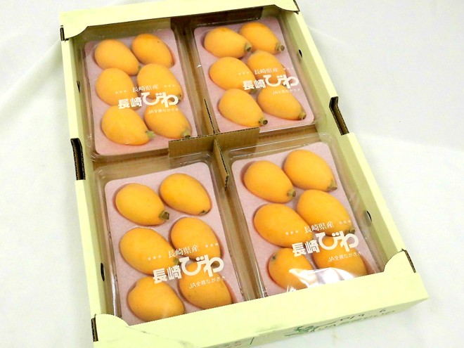  Nagasaki prefecture ~. tree loquat ~ preeminence goods large sphere L/2L size approximately 250g×4pc( approximately 1kg)[ reservation 3 month last third on and after ] free shipping 