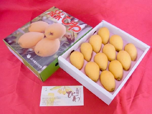  Nagasaki prefecture ~. tree loquat ~ red preeminence goods large sphere L~2L size approximately 650g rom and rear (before and after) ( manner sack included ) vanity case entering [ reservation 3 month last third on and after ] free shipping 