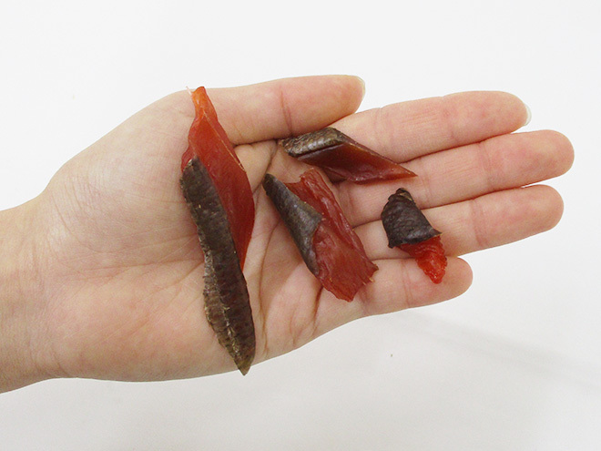  Hokkaido production ~ рыбные палочки saketoba approximately 500g~ with translation cut salmon salmon jerky [ post mailing free shipping ][ reservation arrival sequence shipping ]