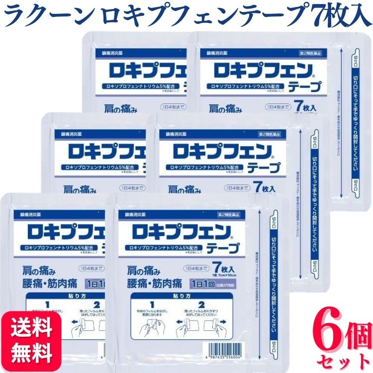 RAKOOL ラクール薬品 ロキプフェンテープ （ラミネート袋タイプ）7枚入 × 6個 プラスターテープ剤 - 最安値・価格比較 ...