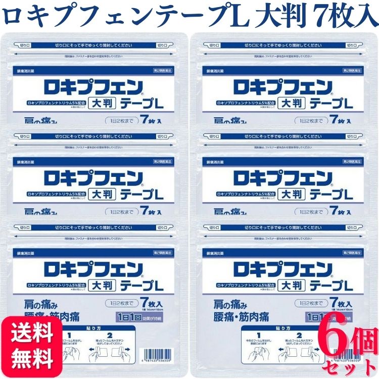 RAKOOL ラクール薬品 ロキプフェンテープL（ラミネート袋タイプ）7枚入 × 6個 プラスターテープ剤 - 最安値・価格比較 ...