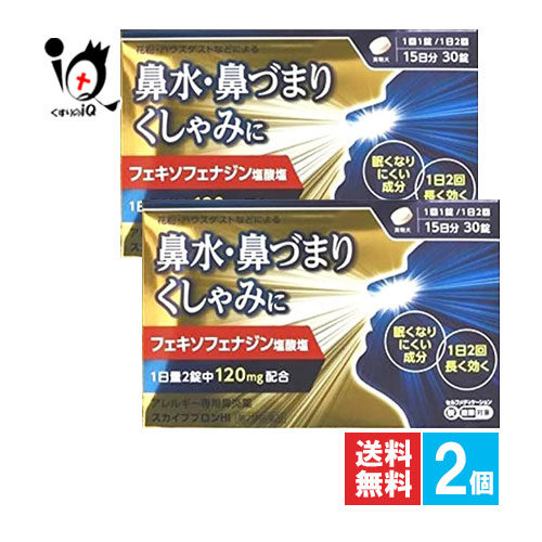 日野薬品工業 日野薬品工業 スカイブブロンHI 30錠×2個 鼻炎薬の商品画像