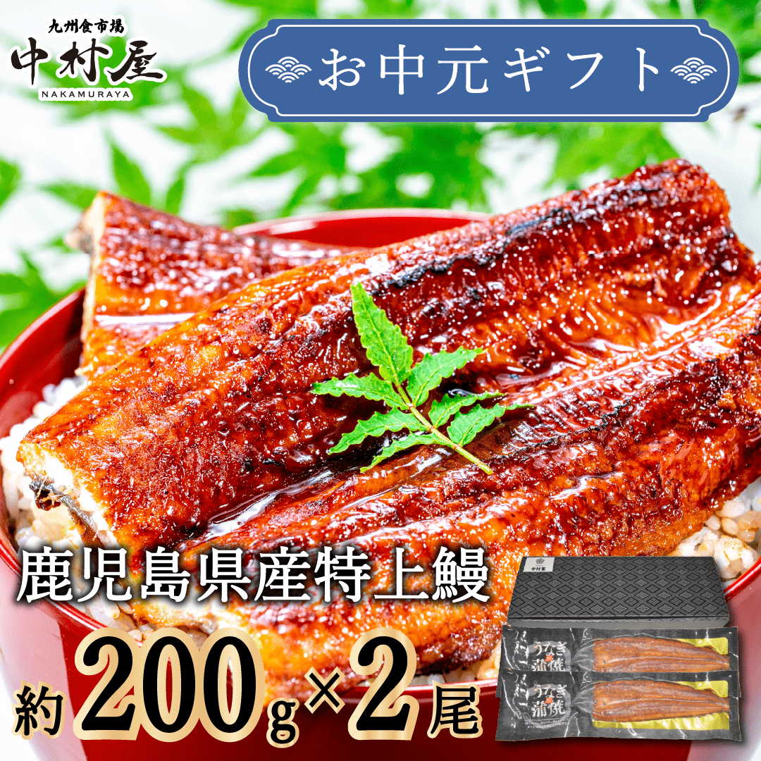 u... roasting domestic production gift Kagoshima prefecture production 200g×2 tail vanity case eel eel ....... present go in . festival . Mother's Day 