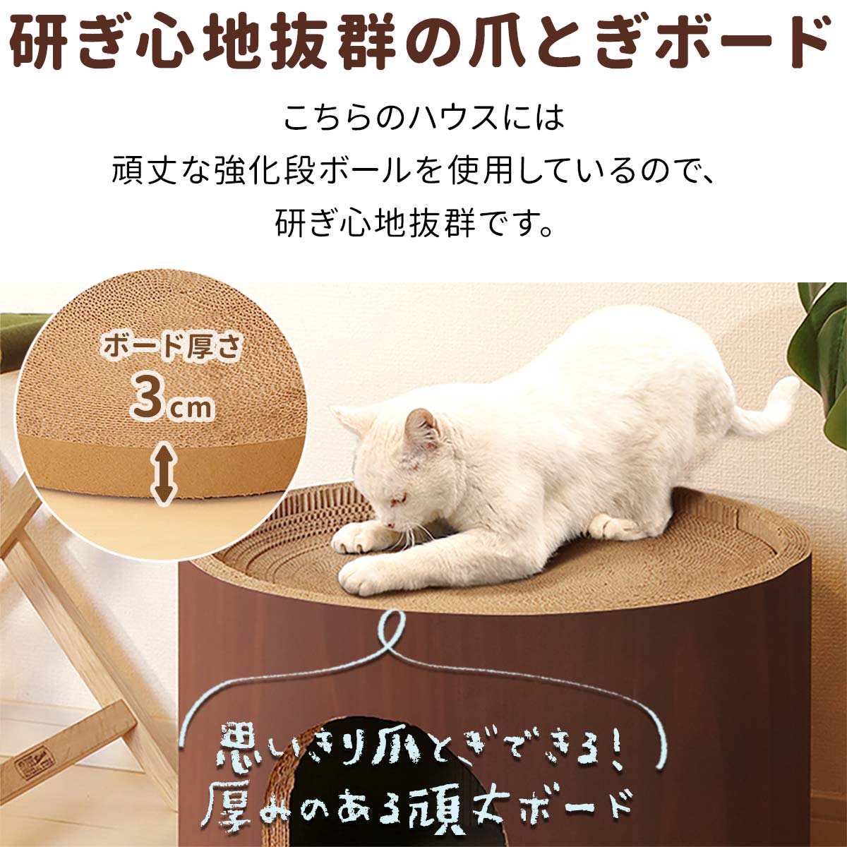  Yahoo! 1 rank cat nail .. cat nail .. house strengthen rust .. put width 45cm× height 30cm round shape nail .. bed .... nail sharpen nail burnishing nail .. board cardboard free shipping 