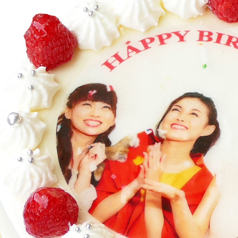 写真プリントケーキ 生クリーム フォトケーキ バースデーケーキ 2 3人分 メーカー直送 スイーツ お誕生日ケーキ イラスト 4号 送料無料
