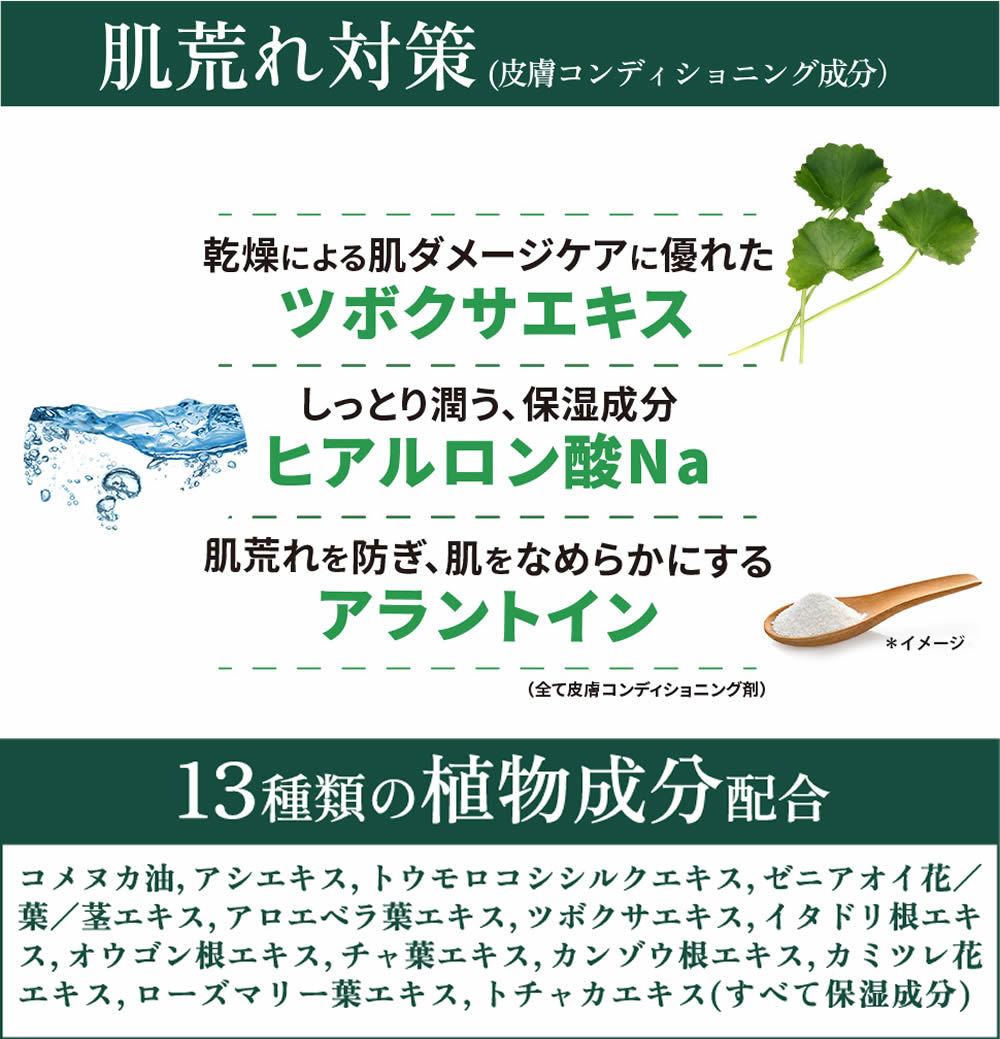 leeor_11010012_4