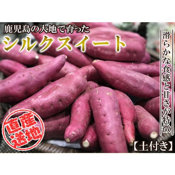  silk sweet sweet potato 5kg free shipping direct delivery from producing area production direct earth attaching Satsuma corm Satsuma corm roasting .. roasting corm stone roasting corm Kagoshima prefecture production FJK-001