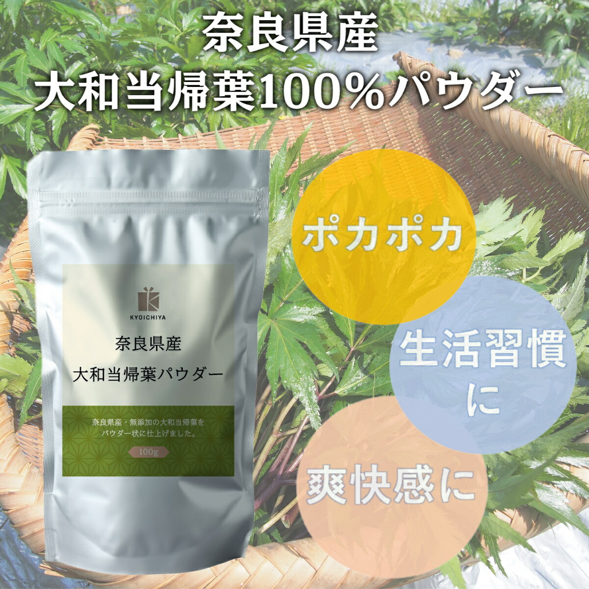 Yamato present . leaf no addition powder 100g ×3 sack set Nara prefecture production domestic production Yamato present . vitamin supplement nutrition assistance food 