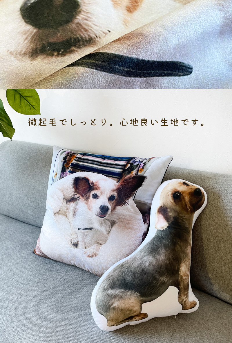  original custom-made cushion order cushion dog cat photograph entering memorial pet dog cat build-to-order manufacturing 