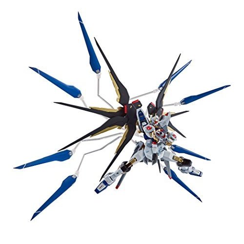 METAL ROBOT魂 ＜SIDE MS＞ ストライクフリーダムガンダム