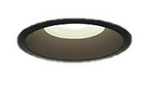 LEDダウンライト （昼白色） DDL-4971WBG （黒）の商品画像