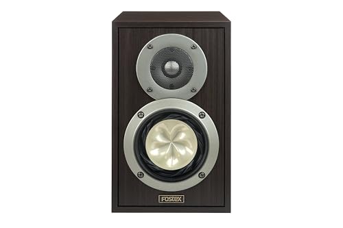 Fostex 2Way автобус зеркальный type акустическая система 1 шт. GX100BJ