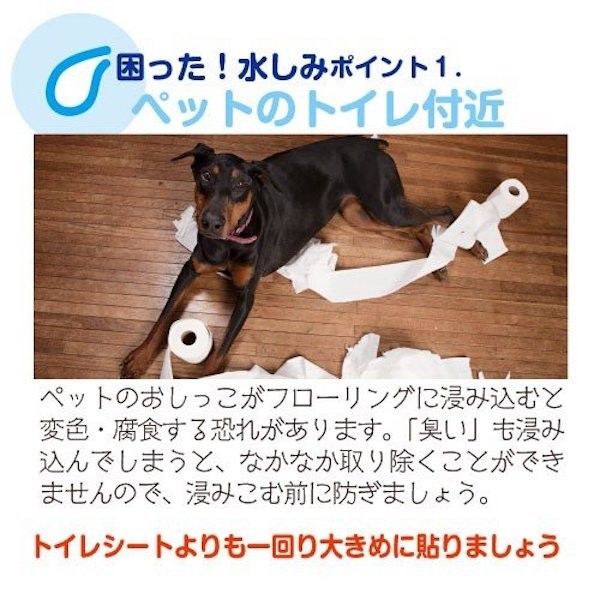 ペットのトイレ付近