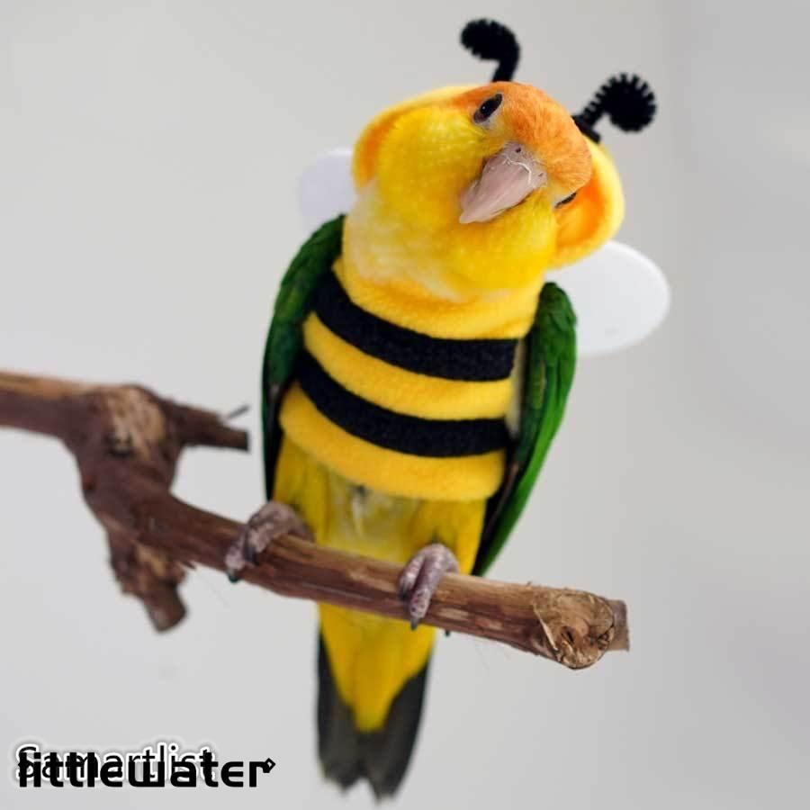  bird pet. clothes parrot parakeet o turtle parakeet lovely bee Parker surface white bird cosplay photograph properties Christmas party birthday Halo we n