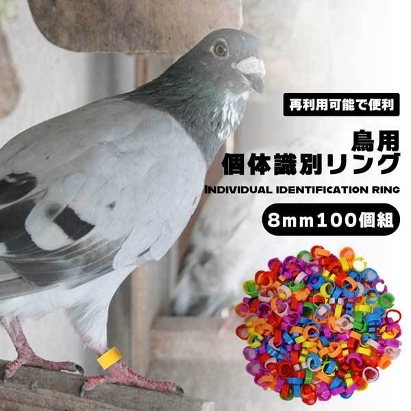 100個入り】家禽用足輪 鳥 鳥用 個体識別リング 8mm 識別用 カラフル 